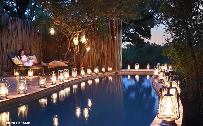 Londolozi Pioneer Camp 16